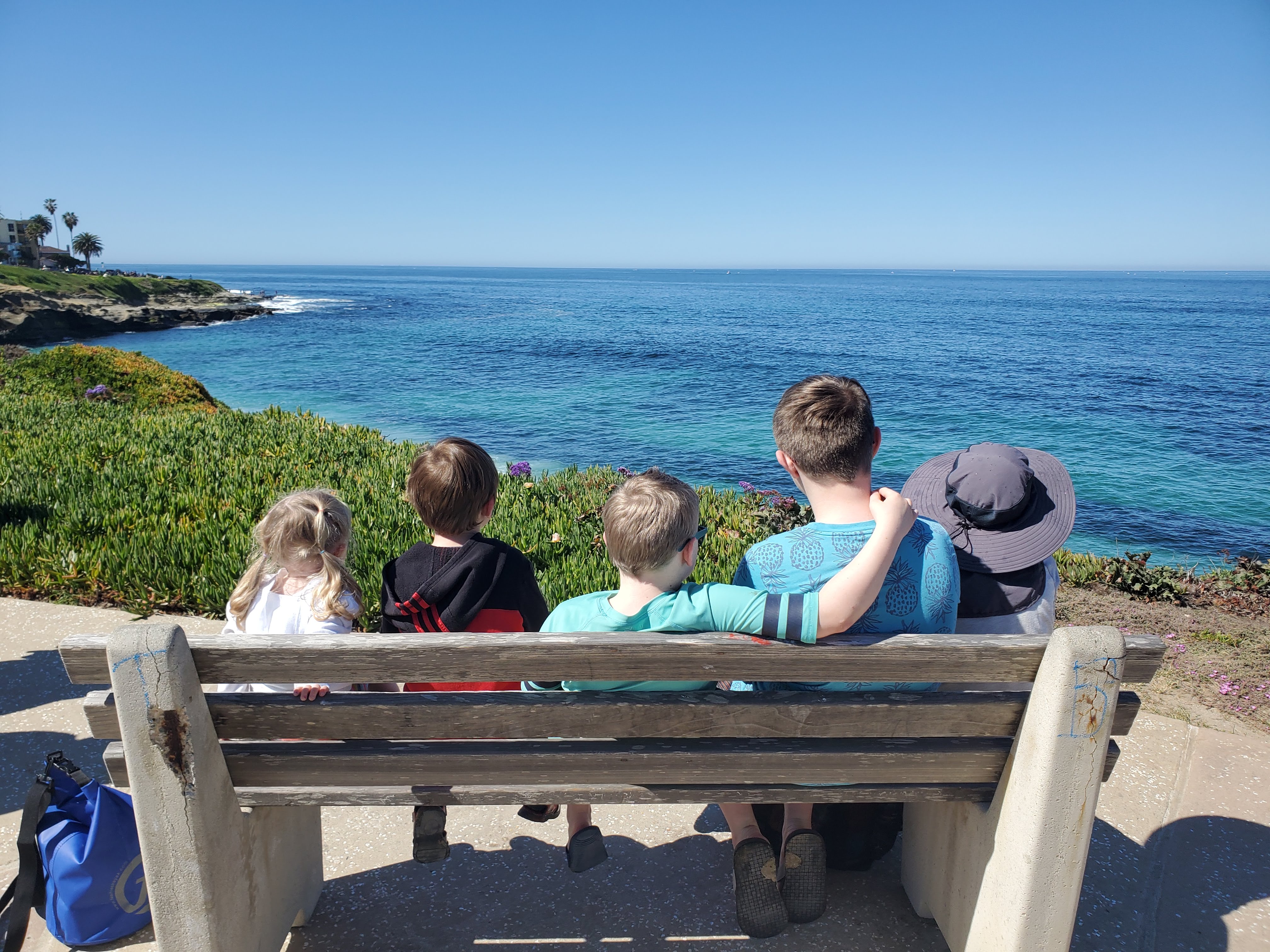 Students on a bench looking out to sea on a field trip